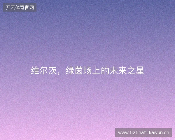 维尔茨，绿茵场上的未来之星